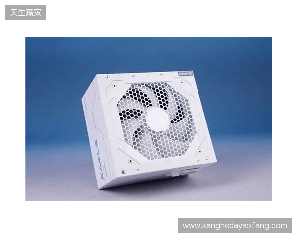 黑白双鹰，白金降临：技嘉猎鹰 冰猎鹰白金电源4月27日开售